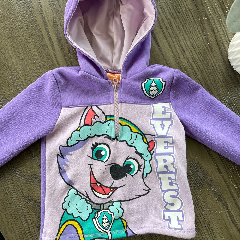 Paw Patrol Everest Hoodie